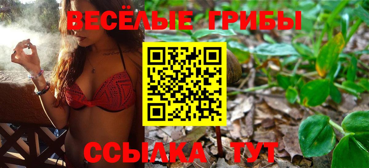 Галлюциногенные грибы GOLDEN TEACHER Чита